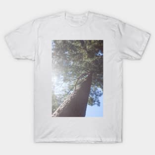 Standing Tall II T-Shirt